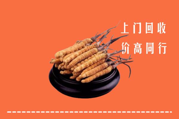 高价求购：镇原县回收散虫草