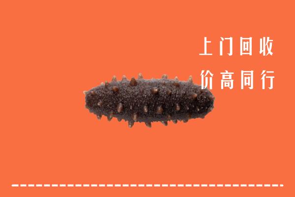 高价求购：镇原县回收海参
