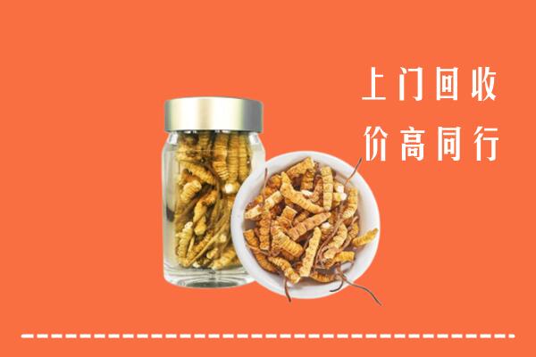 镇原县回收冬虫夏草